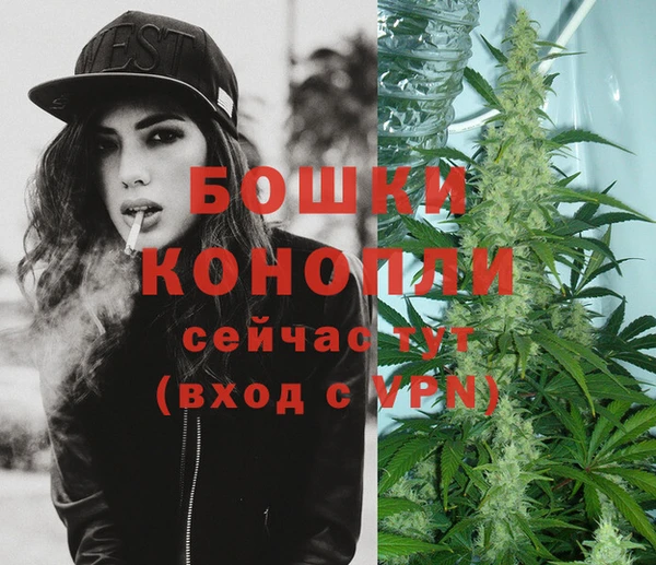 стафф Осташков