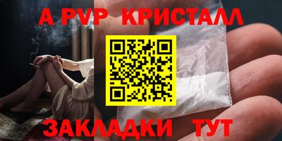дурь Кингисепп